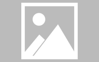 广西新区景区网站建设（in art criticism,you must assume）